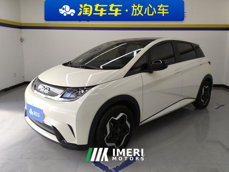 BYD Dolphin 405km Stylish Edition - ავტომობილი ჩინეთიდან