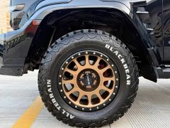 Tank 300 2.0T Conquistador Gasoline - photo 11