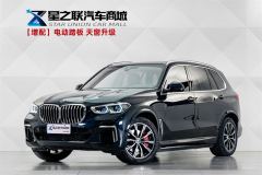 BMW X5 xDrive30Li Deluxe VersionM - ფოტო 1