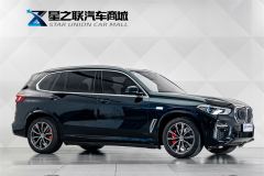 BMW X5 xDrive30Li Deluxe VersionM - ფოტო 5