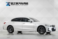 BMW 3 Series 320Li M Sport Package - фото 5