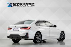 BMW 3 Series 320Li M Sport Package - фото 6