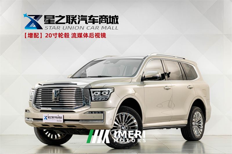 Tank 500 3.0T Business Edition 5