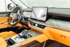 Tank 500 3.0T Business Edition Boundary Creation 5-seater - photo 19