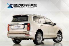 Tank 500 3.0T Business Edition Boundary Creation 5-seater - photo 6