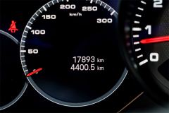 Porsche Panamera Edition 2.9T - photo 11