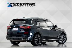 BMW X5 xDrive30Li Deluxe VersionM - ფოტო 6