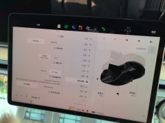 Tesla Model 3 556km Rear-Wheel Drive Edition - ფოტო 20