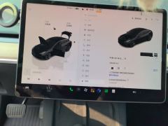 Tesla Model 3 556km Rear-Wheel Drive Edition - ფოტო 7