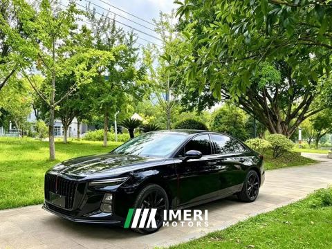 2025 Hongqi H5 2.0T Automatic Mystic Shadow Edition