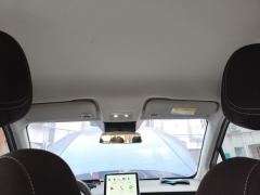 Neta Nezha V Trend 300 Lite Ternary Lithium - ფოტო 14