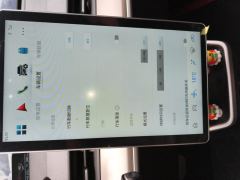 Neta Nezha V Trend 300 Lite Ternary Lithium - ფოტო 20