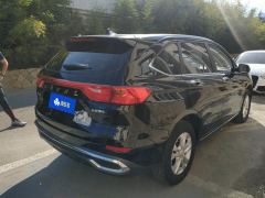 Haval M6 PLUS 1.5T Version - ფოტო 2