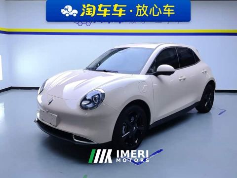 2024 ORA Good Cat 401km Luxury - ავტომობილი ჩინეთიდან