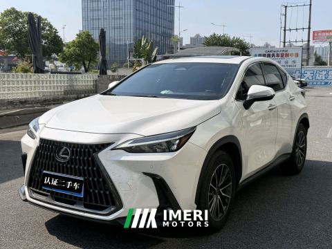 2023 Lexus NX 260 2WD Edition - ავტომობილი ჩინეთიდან