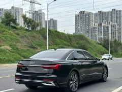 Audi A6L 40 TFSI Luxury Dynamic Edition - ფოტო 8