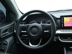 Great Wall Cannon Edition 2.4T AWD Version - ფოტო 4