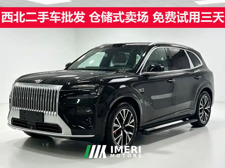 Zeekr 8X 2.0T 320km Max 5-seater - car from China