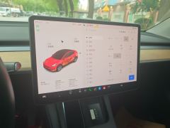 Tesla Model Y Standard endurance rear-wheel drive - фото 12
