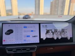 Li Auto L7 Max - ფოტო 12