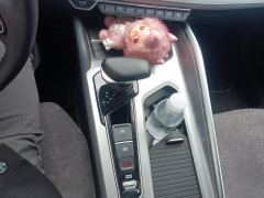 Geely Xingui Xingrui Facelift 2.0TD Prestige Edition - фото 19
