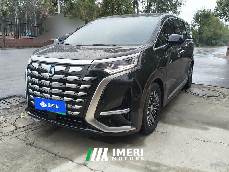 Denza D9 DM-i 1050 Luxury Edition - ავტომობილი ჩინეთიდან