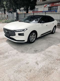 Ford Mondeo EcoBoost 245 Luxury Edition - ფოტო 1