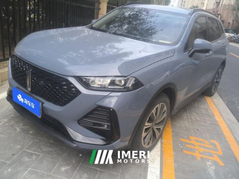 2022 Great Wall Wei brand latte 1.5T DHT