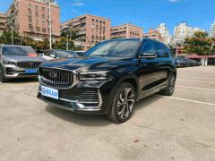 Geely Xingyue L 2.0T Automatic two-wheel drive Sky Edition - photo 1