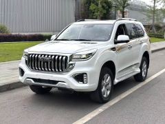 Haval H9 2.0T Luxury Edition 7-seater - ფოტო 1