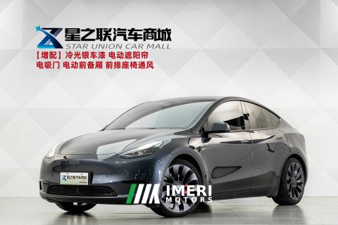 2022 Tesla Model Y 615km Performance High-Performance AWD Version - ავტომობილი ჩინეთიდან