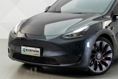 Tesla Model Y 615km Performance High-Performance AWD Version - фото 2