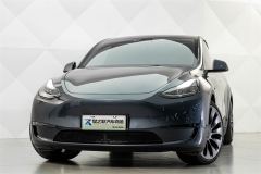 Tesla Model Y 615km Performance High-Performance AWD Version - фото 3