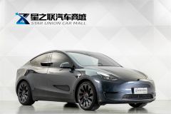 Tesla Model Y 615km Performance High-Performance AWD Version - фото 5