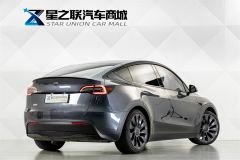 Tesla Model Y 615km Performance High-Performance AWD Version - фото 6