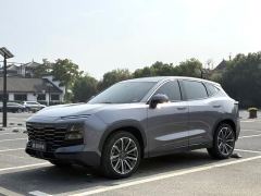Jetour Dasheng 1.6T MAX - photo 1