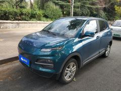 Dayun Yuehu Grand Yuhu 300km Standard Edition 30.66kWh - фото 1
