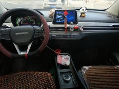 Dayun Yuehu Grand Yuhu 300km Standard Edition 30.66kWh - фото 16
