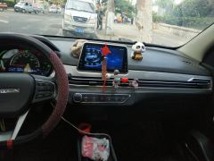 Dayun Yuehu Grand Yuhu 300km Standard Edition 30.66kWh - фото 17
