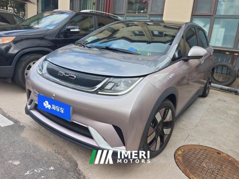 2021 BYD Dolphin 401km Knight Edition - ავტომობილი ჩინეთიდან