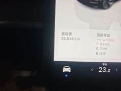 Tesla Model 3 556km Rear-Wheel Drive Edition - ფოტო 13