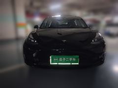 Tesla Model 3 556km Rear-Wheel Drive Edition - ფოტო 2