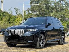 BMW X5 xDrive30Li Deluxe VersionM - ფოტო 1