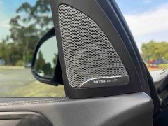 BMW X5 xDrive30Li Deluxe VersionM - ფოტო 14