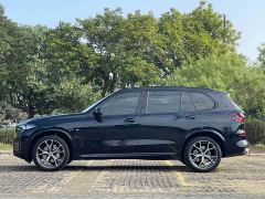 BMW X5 xDrive30Li Deluxe VersionM - ფოტო 6
