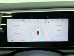 BYD Haima Lion 05EV 520km Edition - ფოტო 7