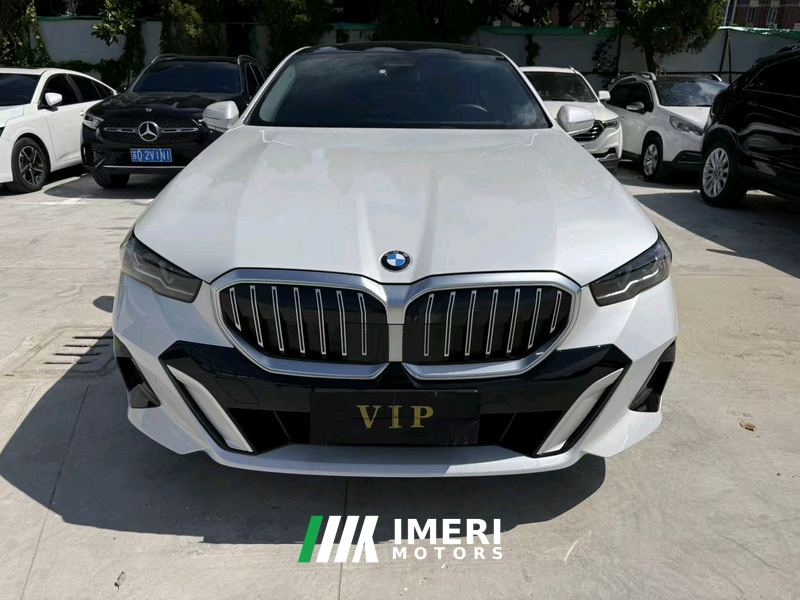 BMW 5 Series 530Li Premier Luxury Package - car from China