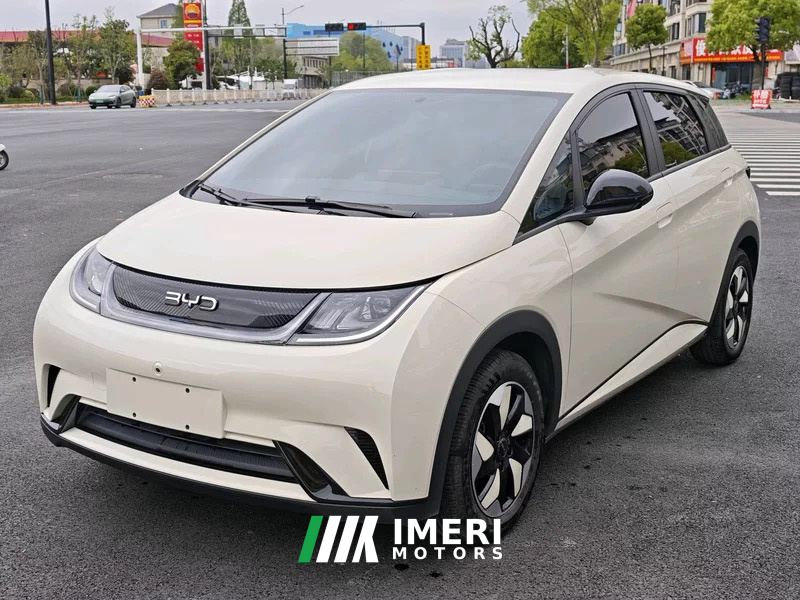 BYD Dolphin 420km Vitality Edition - car from China