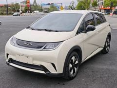 BYD Dolphin 420km Vitality Edition - photo 1