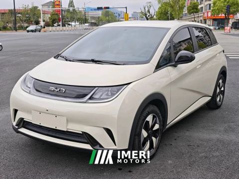2025 BYD Dolphin 420km Vitality Edition - car from China